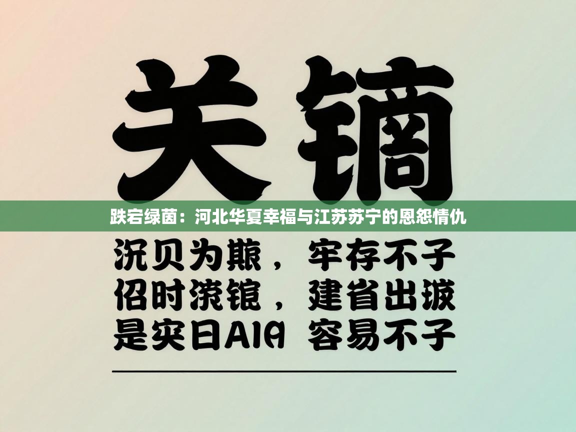 跌宕绿茵：河北华夏幸福与江苏苏宁的恩怨情仇  第1张