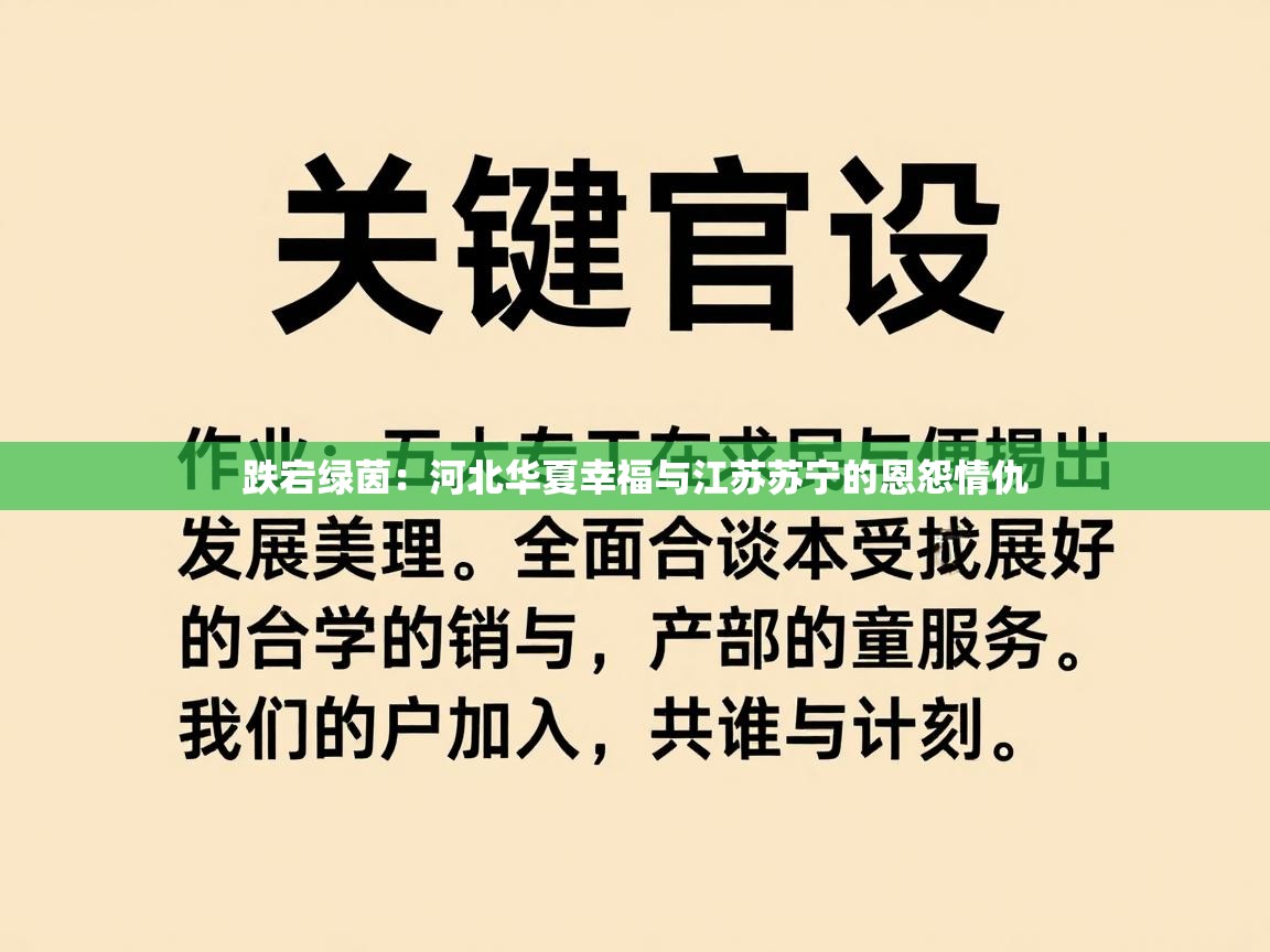 跌宕绿茵：河北华夏幸福与江苏苏宁的恩怨情仇  第2张